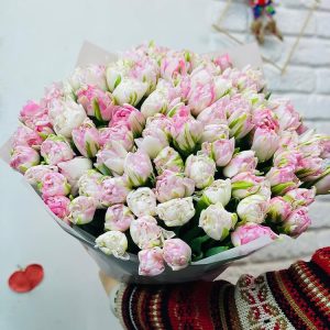 Тюльпановий рай