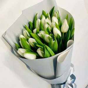 Весняна гармонія