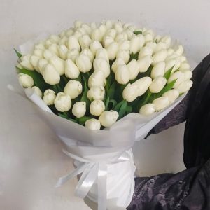 Весняна мелодія