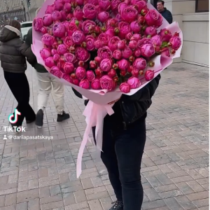 Королівська троянда